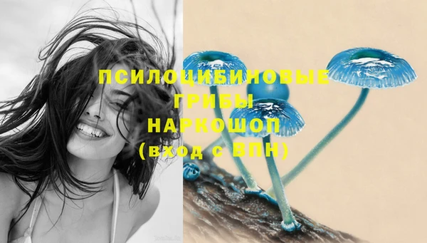 мефедрон Богданович