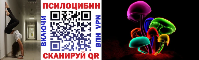 купить сайты Абакан Галлюциногенные грибы Cubensis