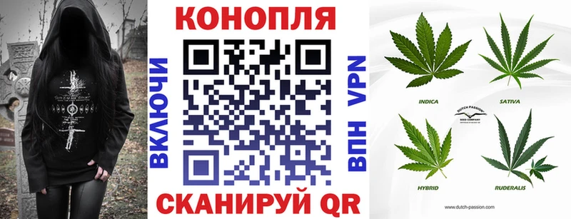 Бошки марихуана план  Абакан 